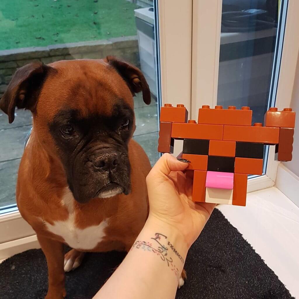 Mummy From The Block: Duplo Hund
